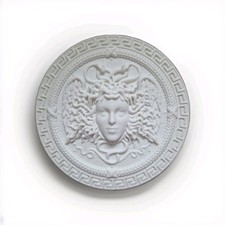 Medusa Wall Hanging or Display
