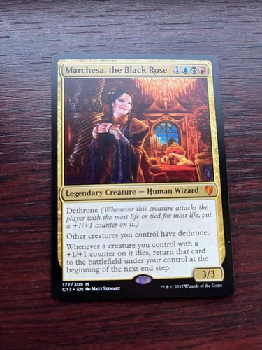 Marchesa the black - black, rose