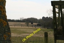 Photo 6x4 Minting: view