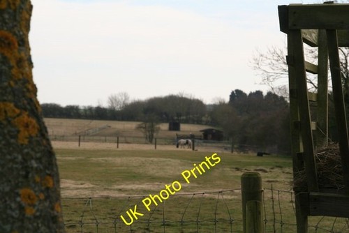 Photo 6x4 minting - photo,