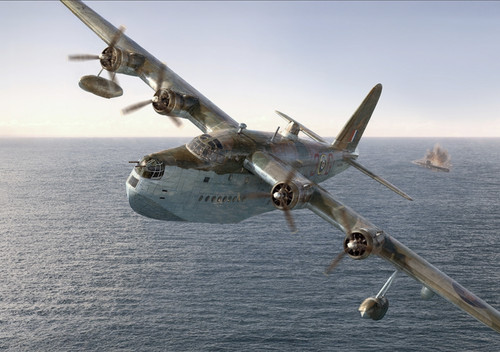 Pkrod353 roden 144 - pkrod353, raf