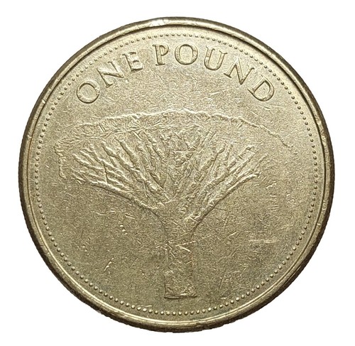 Gibraltar one pound - pound, coin