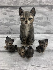 Harvey Knox Tabby Cat &