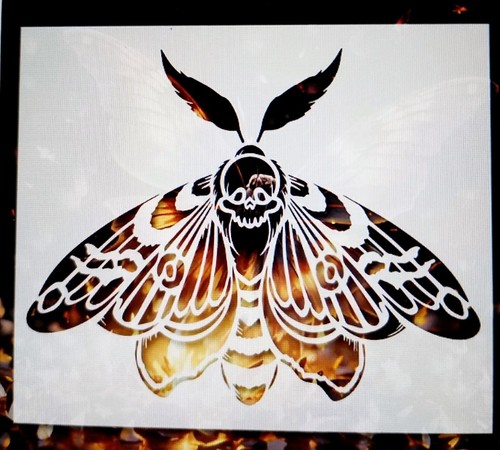 Death head skull moth - head,