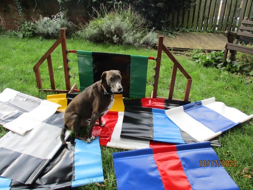 Dog agility jump filler - dog,