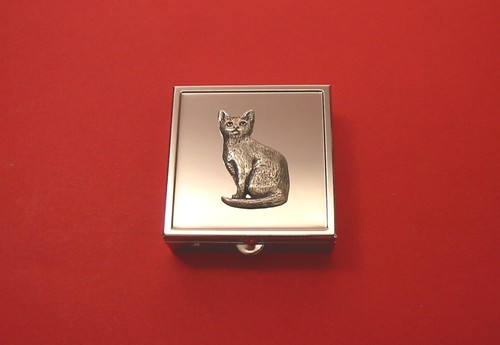 Shorthair cat square mint - shorthair,