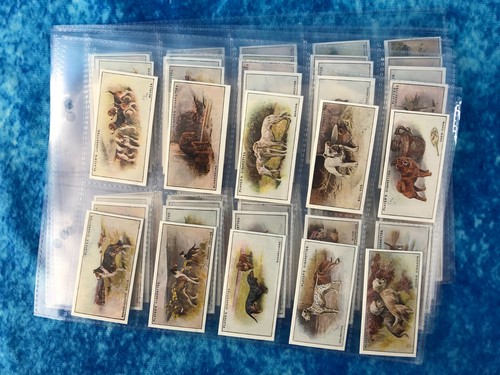 Player dogs reprint full - dogs, set