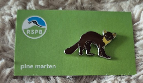 Rspb bird pin - pin, badge