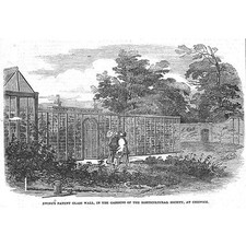 CHISWICK Ewing's Patent Glass