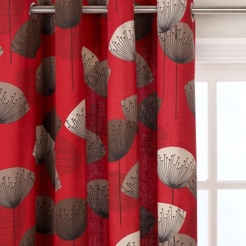 Sanderson red dandelion - sanderson,