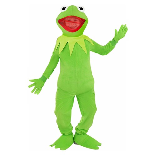Kermit the frog muppet - kermit,