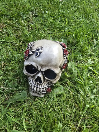 Stone gothic skull - skull, roses