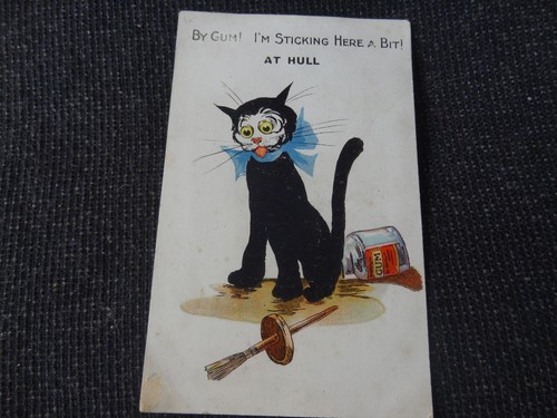 Gum hull comic cat - gum,