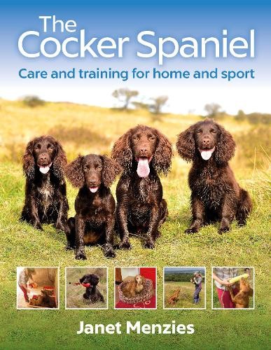 The cocker spaniel - the,