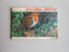 Wild Birds in Britain | Brooke