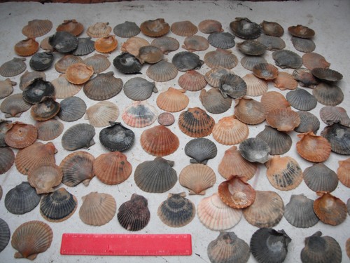 Job lot 100 - lot, of