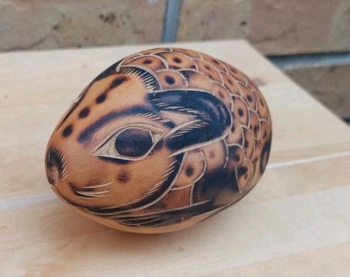 Carved gourd armadillo - gourd,