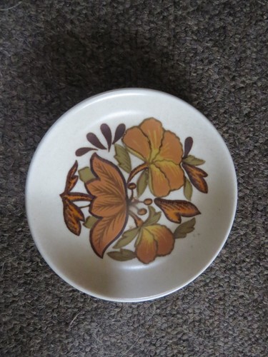 Royal worcester palissy - worcester, pin