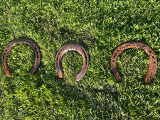3 Authentic Steel Horse Shoes 