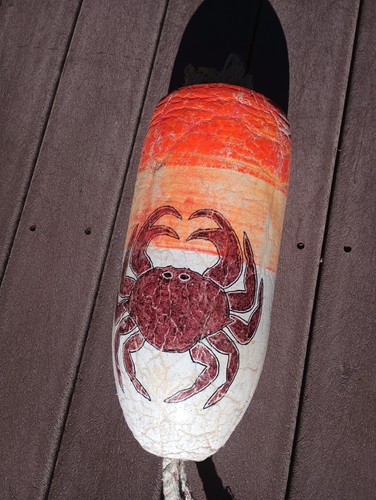 Painted large dungeness crab - painted,