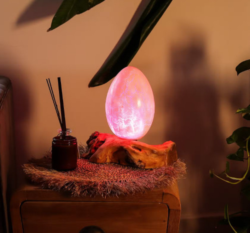 Handmade driftwood lamp with - handmade,
