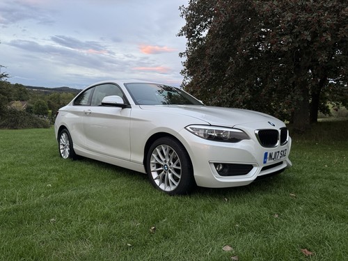2017 bmw 218i coupe - 2017,