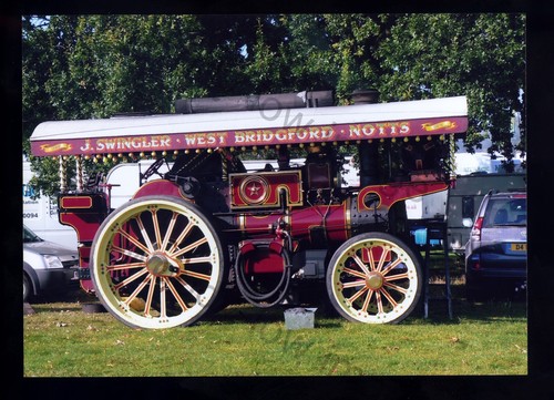 Tz1264 showman traction - showman,