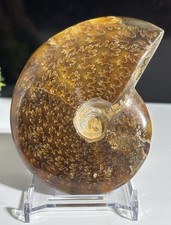 9cm 160g specimen - aa,