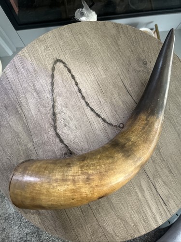 Antique vintage cow horn - cow,
