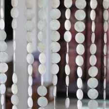 1 Strip Pure Shell Bead