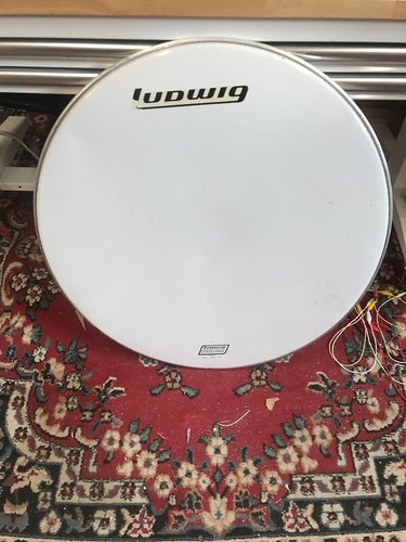 Ludwig striders bass - ludwig,