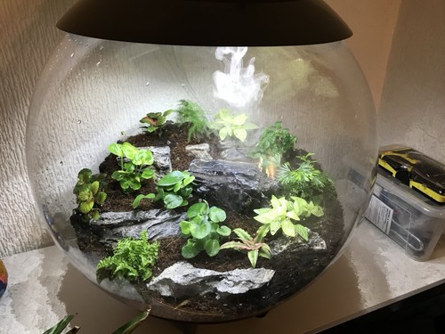 Biorbair 60l terrarium grey - biorbair,