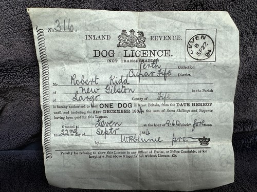 Antique ephemera 1884 - antique,