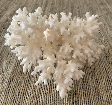 Vintage Branch White Stony