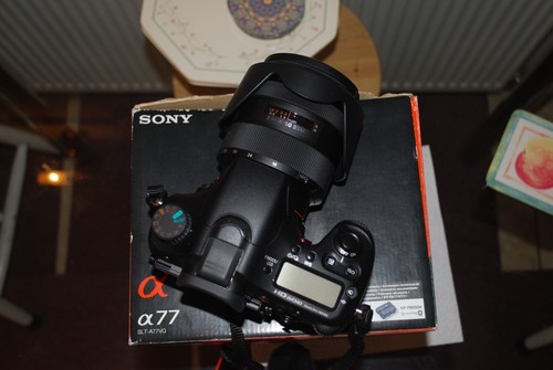 Sony alpha a77 slt - sony,