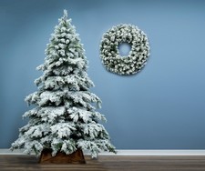 Christmas Tree World | The