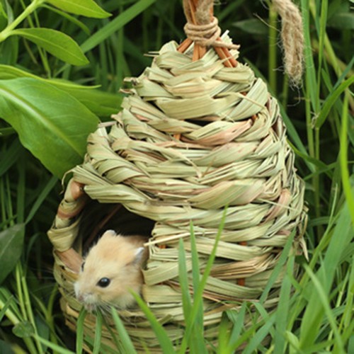 Handwoven straw bird cage - straw,