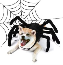 Halloween Pet Spider Costume