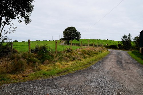 Photo 6x4 lane farm carony - 6x4,