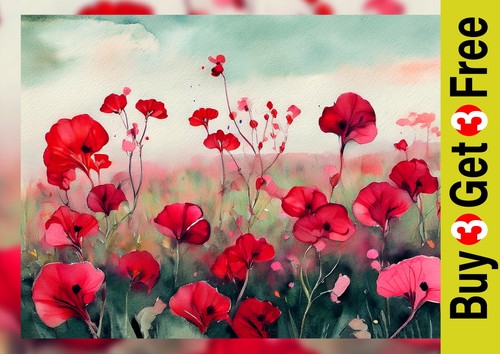 Field red poppies x7 - field, of