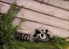 Authentic Trollbeads WITCH