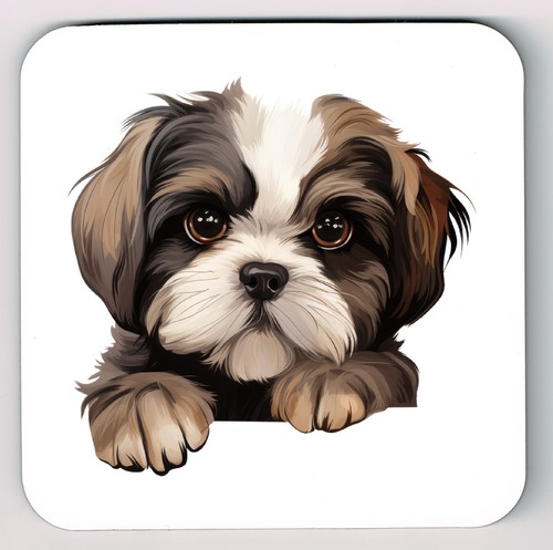 Peeking peeping shih tzu image - tzu,