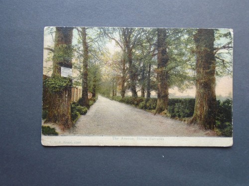 Hampshire the avenue hilsea - ,