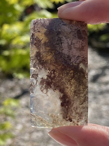 Landscape moss agate cabochon - moss,