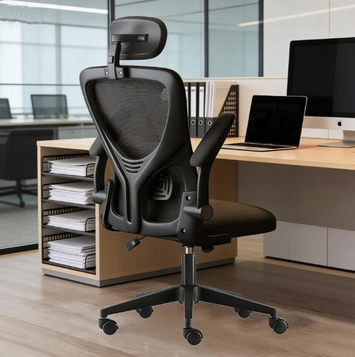 Executive office chair - office,
