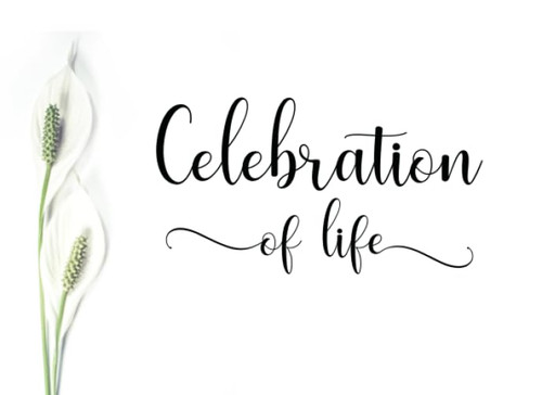 Celebration life guest - celebration, of
