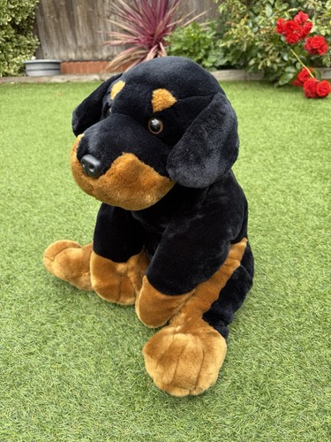 Animal alley rottweiler - alley, dog