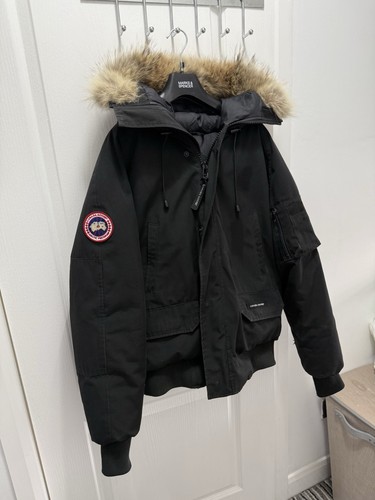 Canada goose chilliwack - canada,