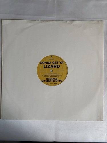Mauro picotto lizard - mauro,