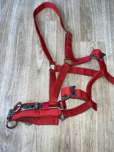 Nylon red lunging - lunging, cavesson
